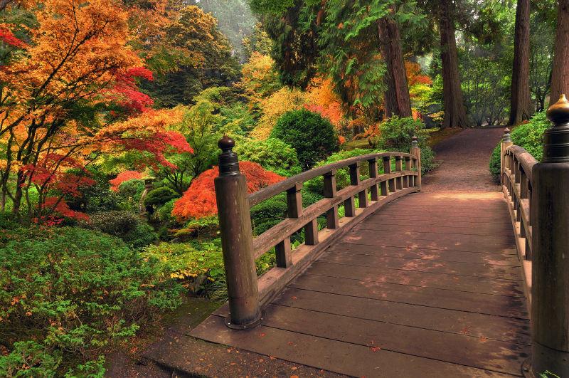 秋天公园里的一座木桥