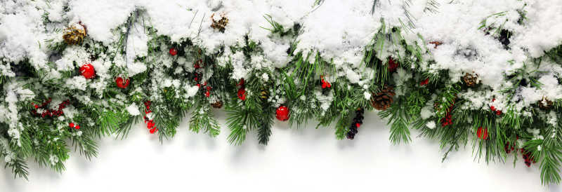 圣诞树枝上有白色积雪