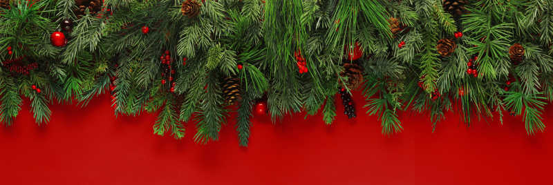 红色背景上的圣诞树枝