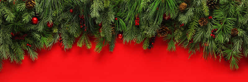 红色背景上的绿色圣诞树枝