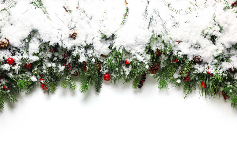 圣诞树枝上覆盖着白色积雪