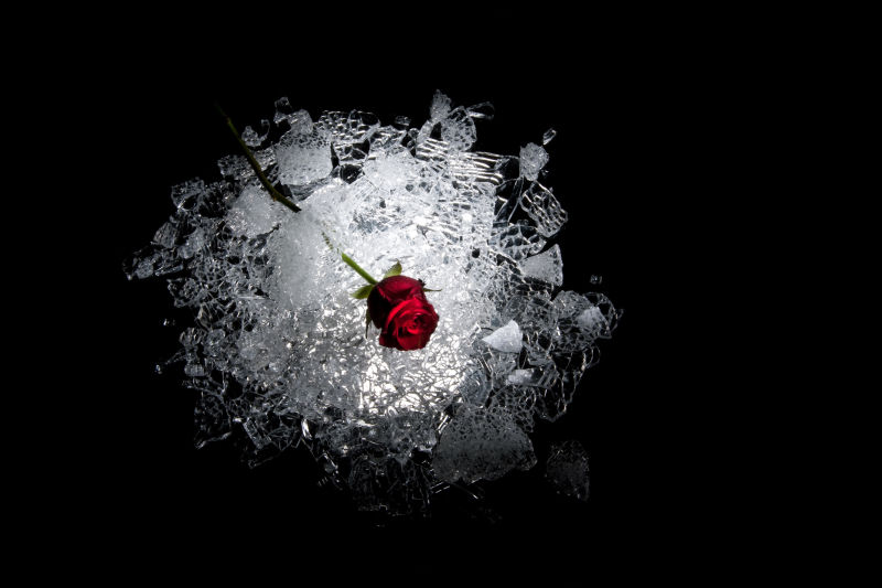 冰块中的玫瑰花