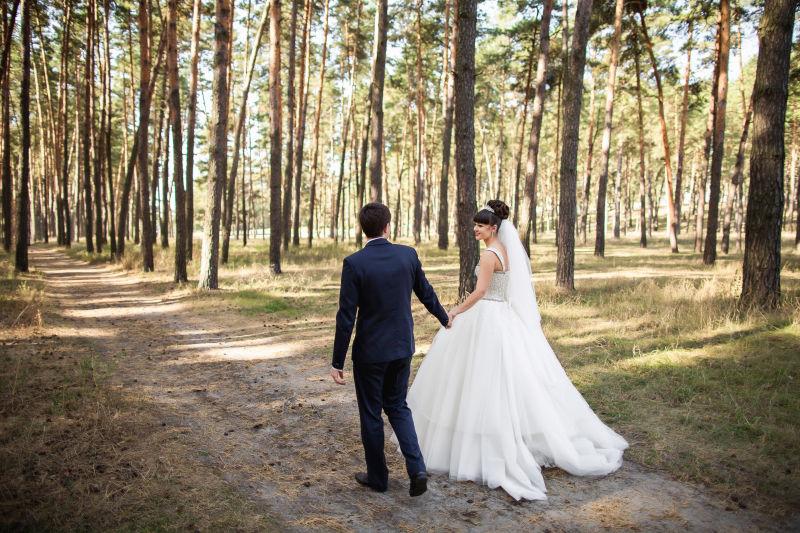 新娘和新郎在松林里散步