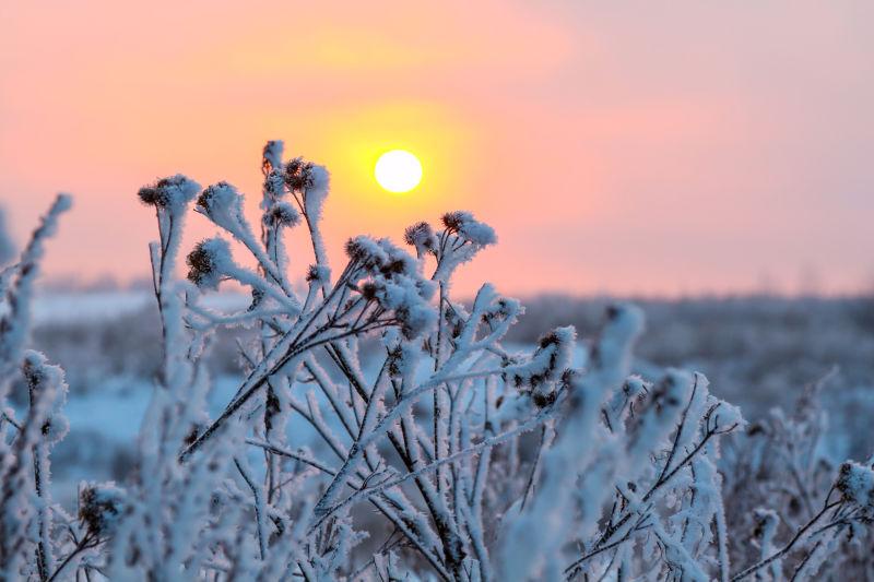 寒冷冬日的草地上覆盖着雪景美丽的晚霞