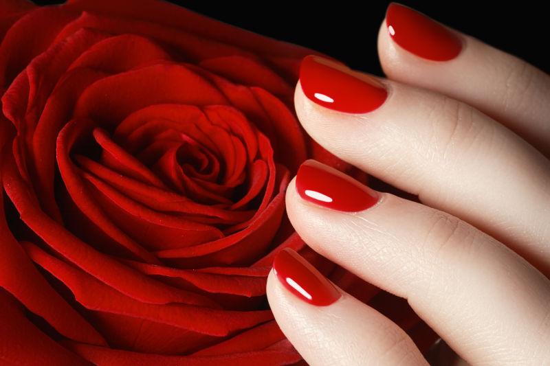 染着红色指甲的手和玫瑰