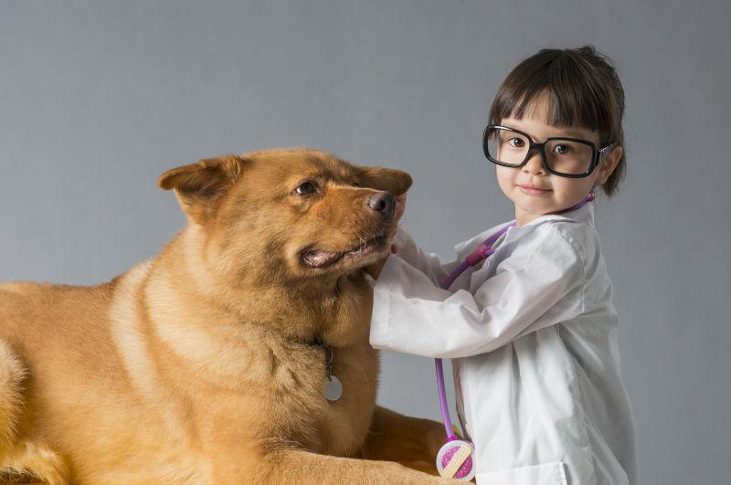 儿童扮演兽医与狗