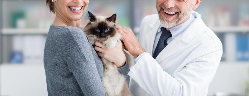 一个微笑的女人和她的猫在兽医诊所和兽医