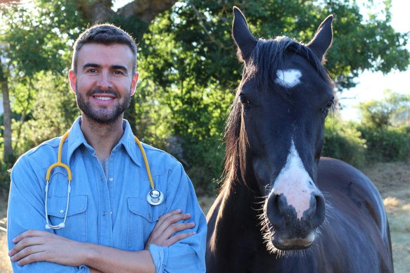 英俊的男兽医微笑着靠近马