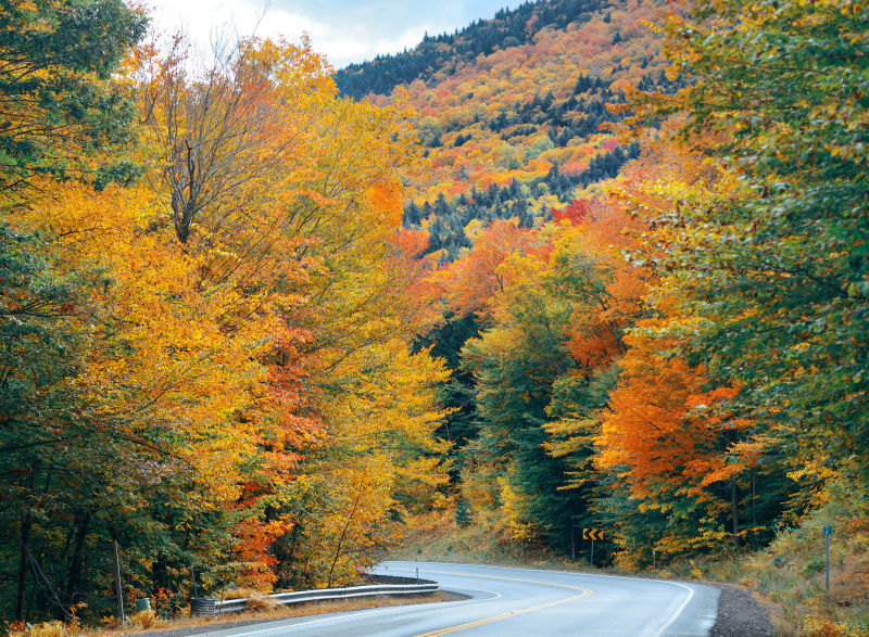 美国新罕布什尔州的怀特芒廷深山中的公路和秋季霜叶