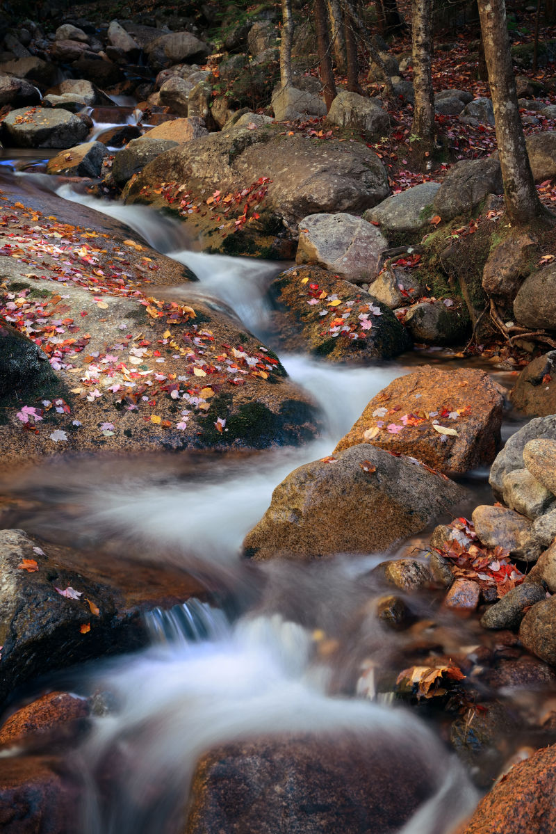 秋季的石头小溪