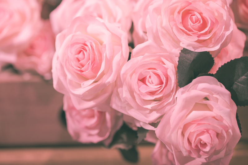 一束粉红的玫瑰花