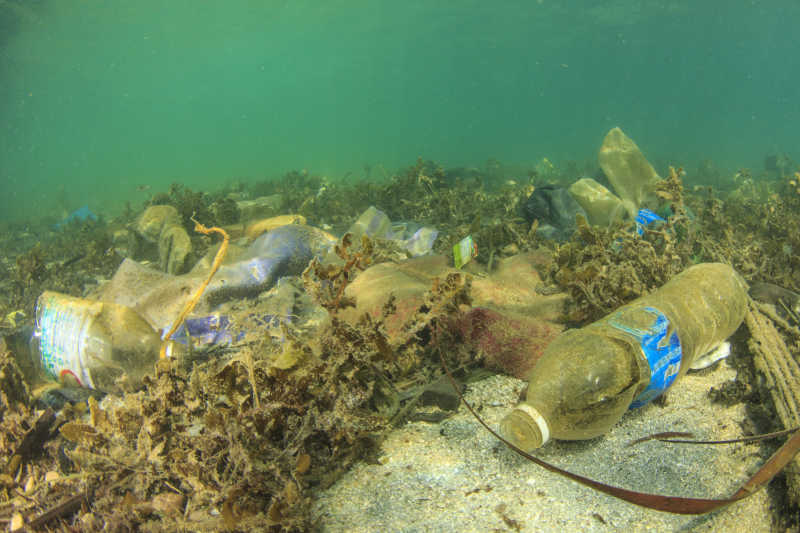 海底的各种塑料垃圾
