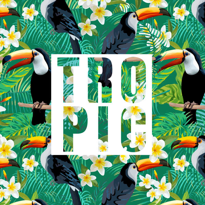 热带的花和鹦鹉鸟背景创意矢量插图