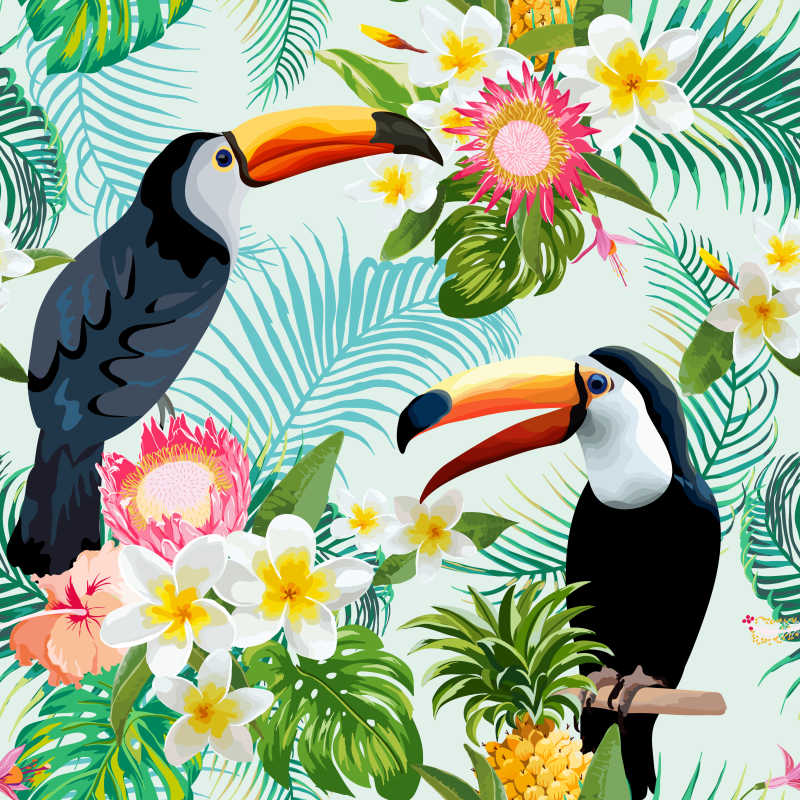 矢量热带巨嘴鸟和花朵组合的创意背景