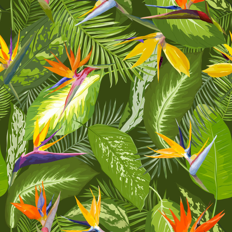 漂亮的热带丛林矢量插画