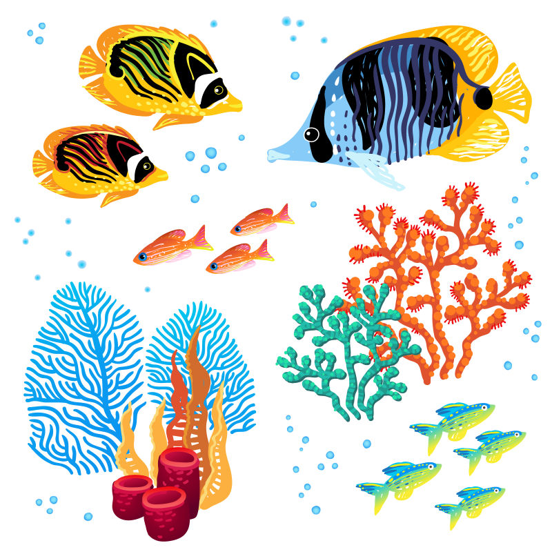 水族馆里的热带鱼矢量插画